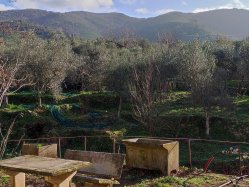 Loft Zona tranquilla Calci Toscana