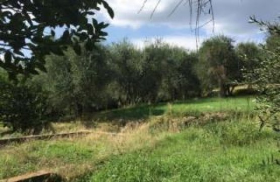 Vendita Casale Zona tranquilla Terricciola Toscana