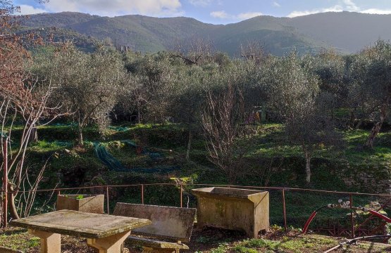 Vendita Loft Zona tranquilla Calci Toscana